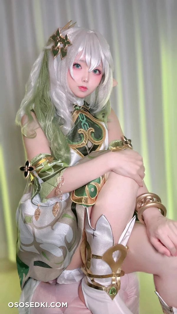 Chuchu Nagomitei - Nahida - Genshin Impact - Photo 20