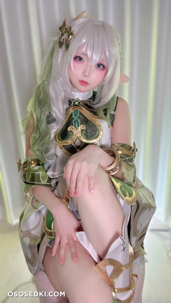 Chuchu Nagomitei - Nahida - Genshin Impact - Photo 26