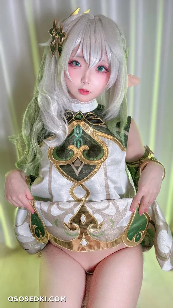 Chuchu Nagomitei - Nahida - Genshin Impact - Photo 32