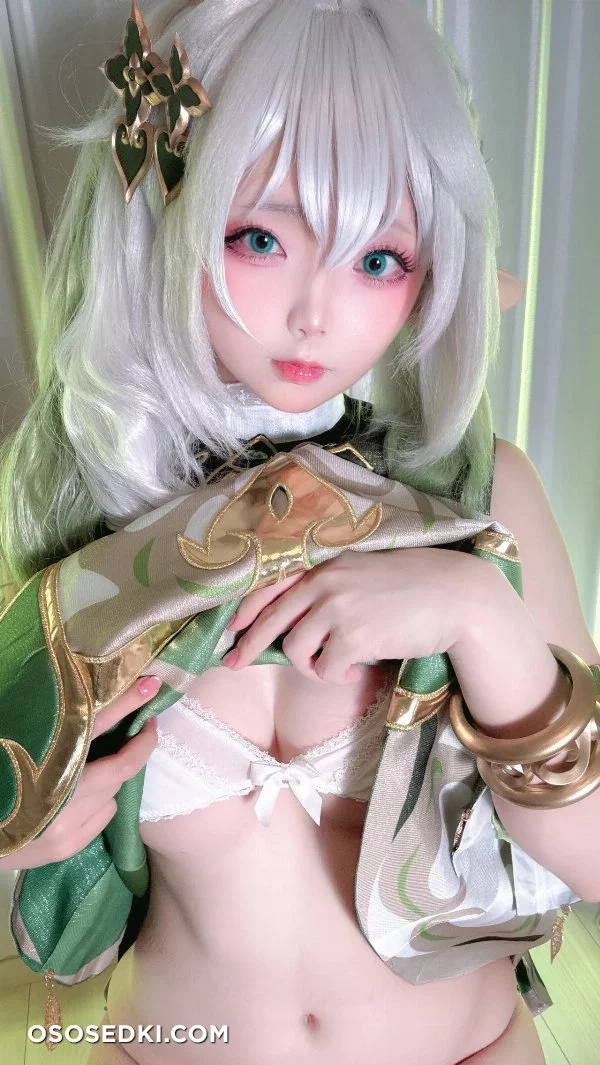 Chuchu Nagomitei - Nahida - Genshin Impact - Photo 45