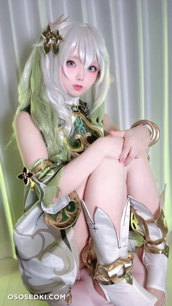 Chuchu Nagomitei - Nahida - Genshin Impact - Photo 51