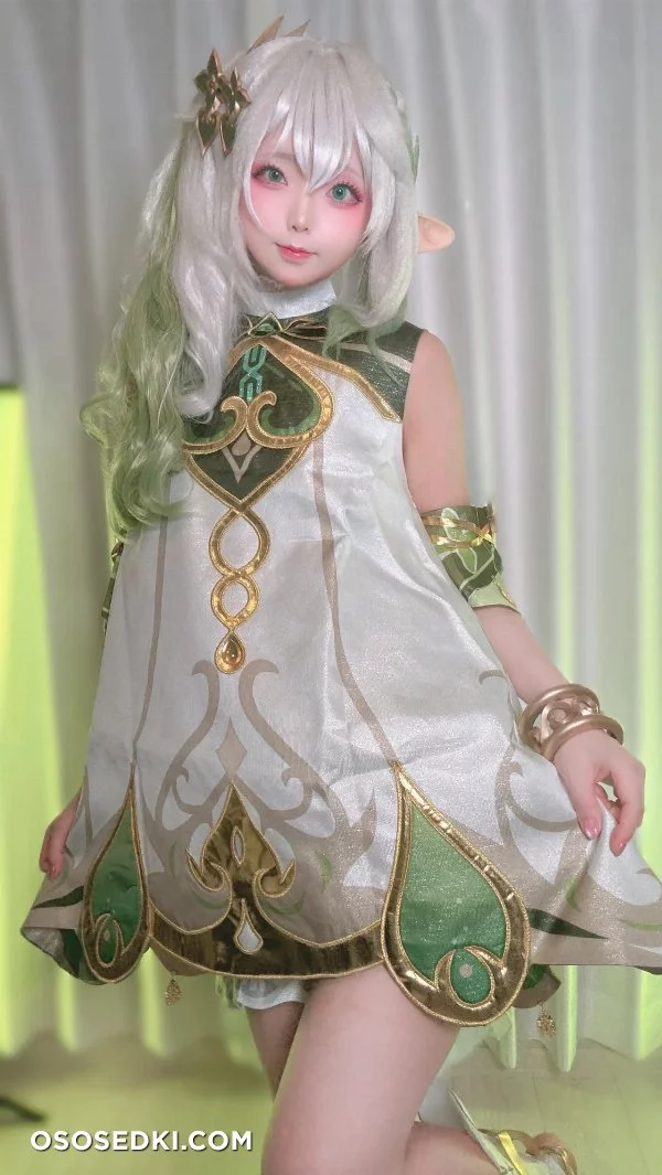Chuchu Nagomitei - Nahida - Genshin Impact - Photo 66
