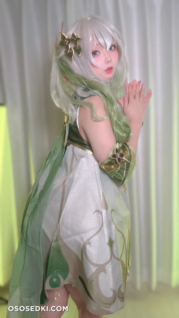 Chuchu Nagomitei - Nahida - Genshin Impact - Photo 77