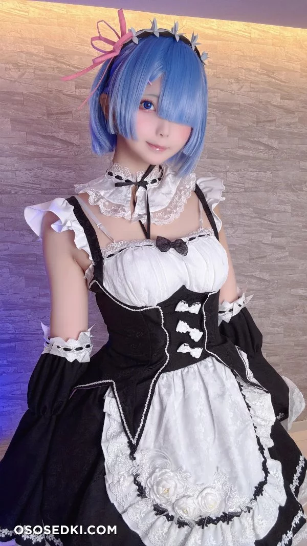 Chuchu Nagomitei - Rem - Re Zero Kara Hajimeru Isekai Seikatsu - Photo 6