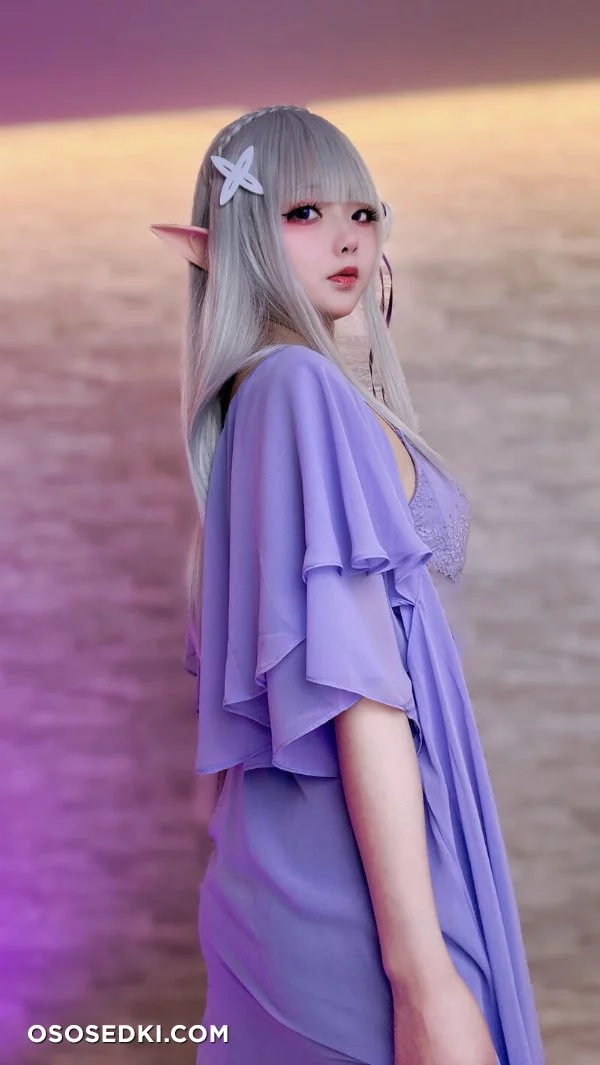 Chuchu Nagomitei - Emilia - Re Zero Kara Hajimeru Isekai Seikatsu - Photo 4