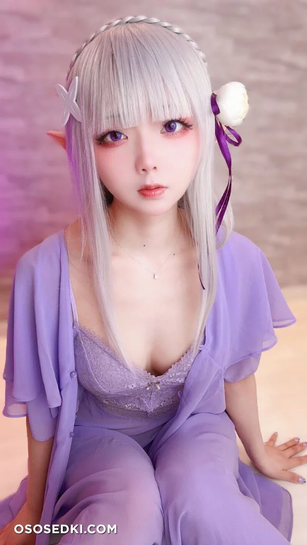 Chuchu Nagomitei - Emilia - Re Zero Kara Hajimeru Isekai Seikatsu - Photo 8