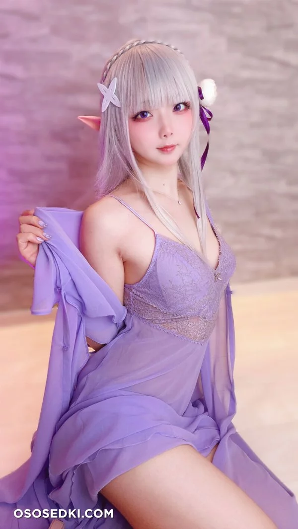 Chuchu Nagomitei - Emilia - Re Zero Kara Hajimeru Isekai Seikatsu - Photo 9