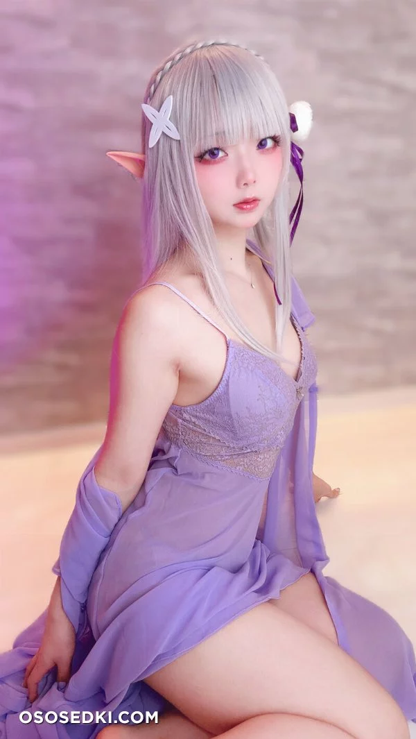 Chuchu Nagomitei - Emilia - Re Zero Kara Hajimeru Isekai Seikatsu - Photo 10