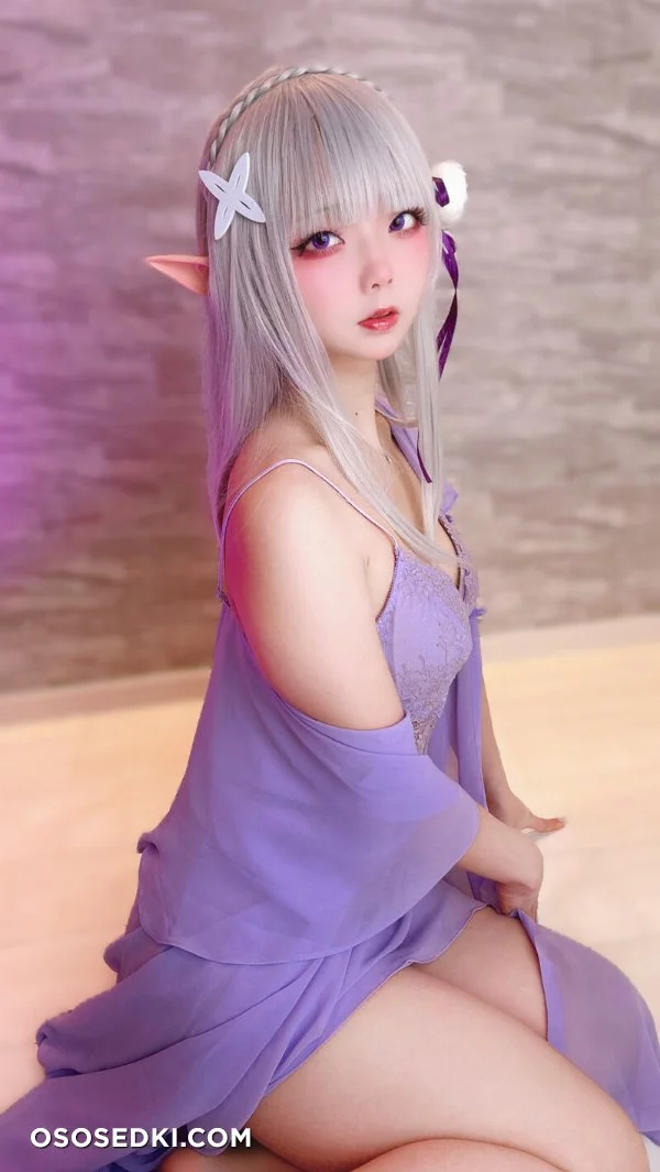 Chuchu Nagomitei - Emilia - Re Zero Kara Hajimeru Isekai Seikatsu - Photo 12