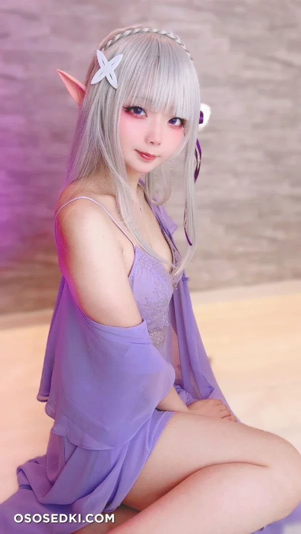 Chuchu Nagomitei - Emilia - Re Zero Kara Hajimeru Isekai Seikatsu - Photo 13