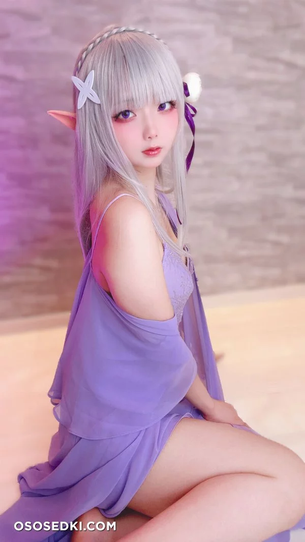 Chuchu Nagomitei - Emilia - Re Zero Kara Hajimeru Isekai Seikatsu - Photo 14