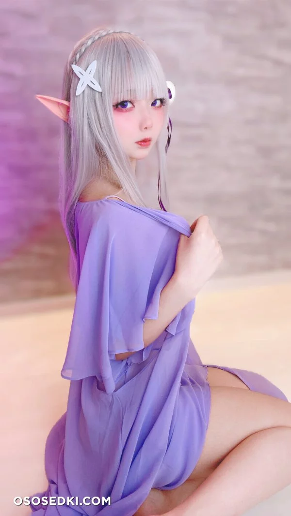 Chuchu Nagomitei - Emilia - Re Zero Kara Hajimeru Isekai Seikatsu - Photo 15