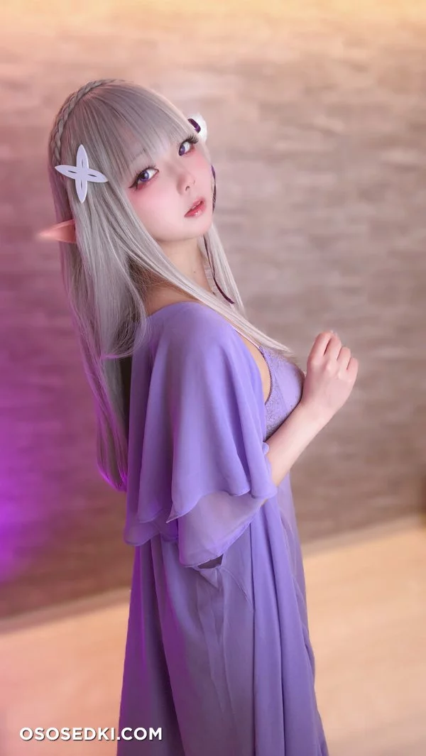 Chuchu Nagomitei - Emilia - Re Zero Kara Hajimeru Isekai Seikatsu - Photo 22