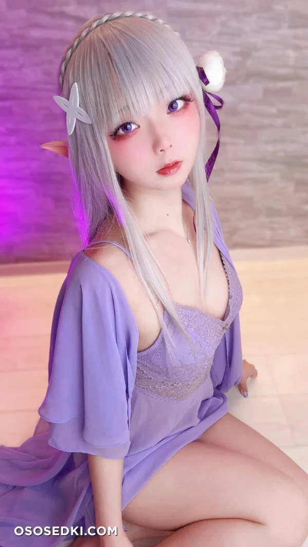 Chuchu Nagomitei - Emilia - Re Zero Kara Hajimeru Isekai Seikatsu - Photo 35