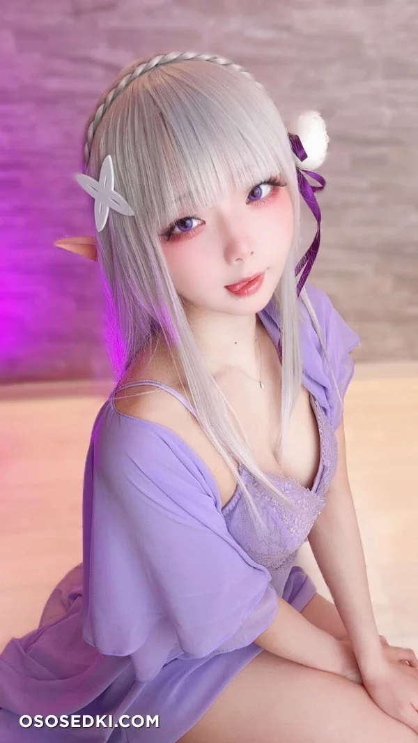 Chuchu Nagomitei - Emilia - Re Zero Kara Hajimeru Isekai Seikatsu - Photo 36