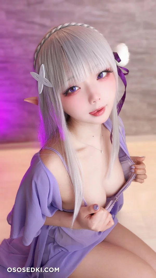 Chuchu Nagomitei - Emilia - Re Zero Kara Hajimeru Isekai Seikatsu - Photo 37