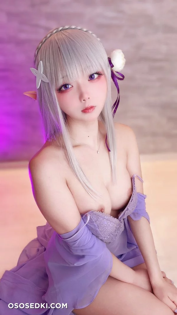 Chuchu Nagomitei - Emilia - Re Zero Kara Hajimeru Isekai Seikatsu - Photo 40