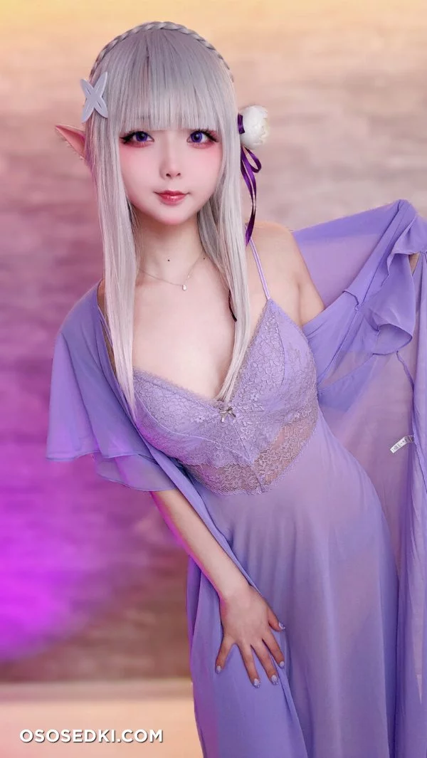 Chuchu Nagomitei - Emilia - Re Zero Kara Hajimeru Isekai Seikatsu - Photo 44