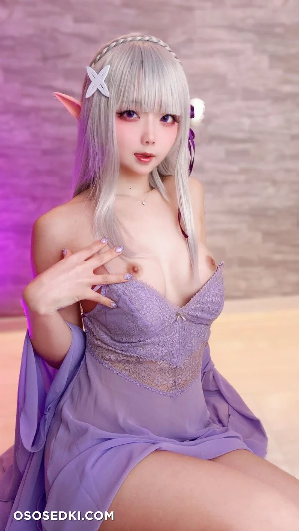 Chuchu Nagomitei - Emilia - Re Zero Kara Hajimeru Isekai Seikatsu - Photo 46