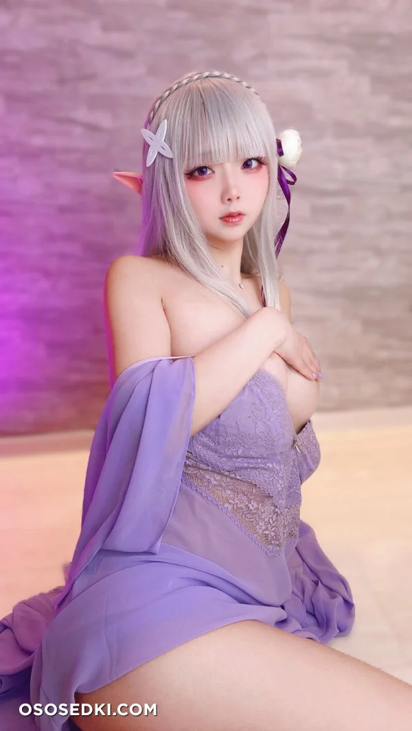 Chuchu Nagomitei - Emilia - Re Zero Kara Hajimeru Isekai Seikatsu - Photo 48