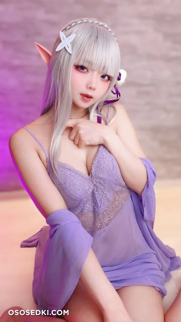 Chuchu Nagomitei - Emilia - Re Zero Kara Hajimeru Isekai Seikatsu - Photo 57