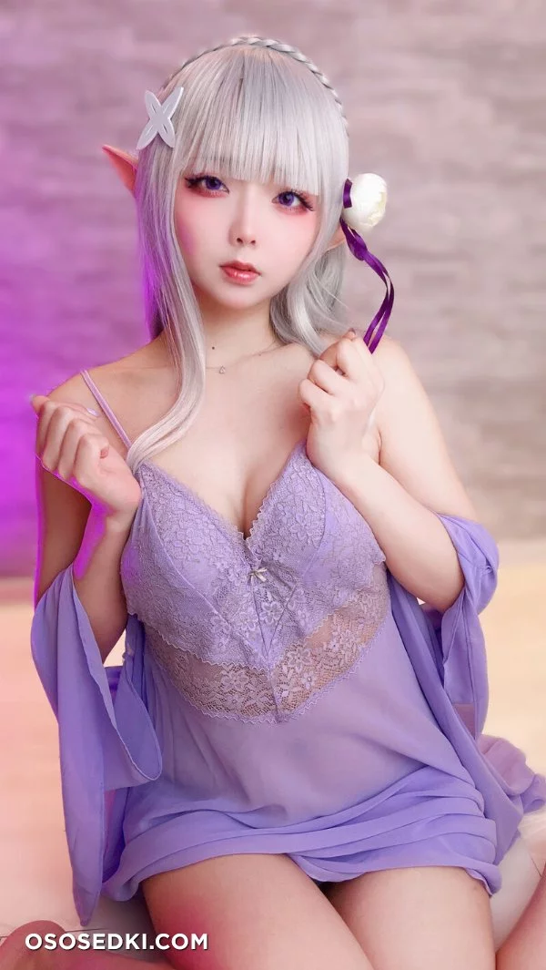 Chuchu Nagomitei - Emilia - Re Zero Kara Hajimeru Isekai Seikatsu - Photo 58