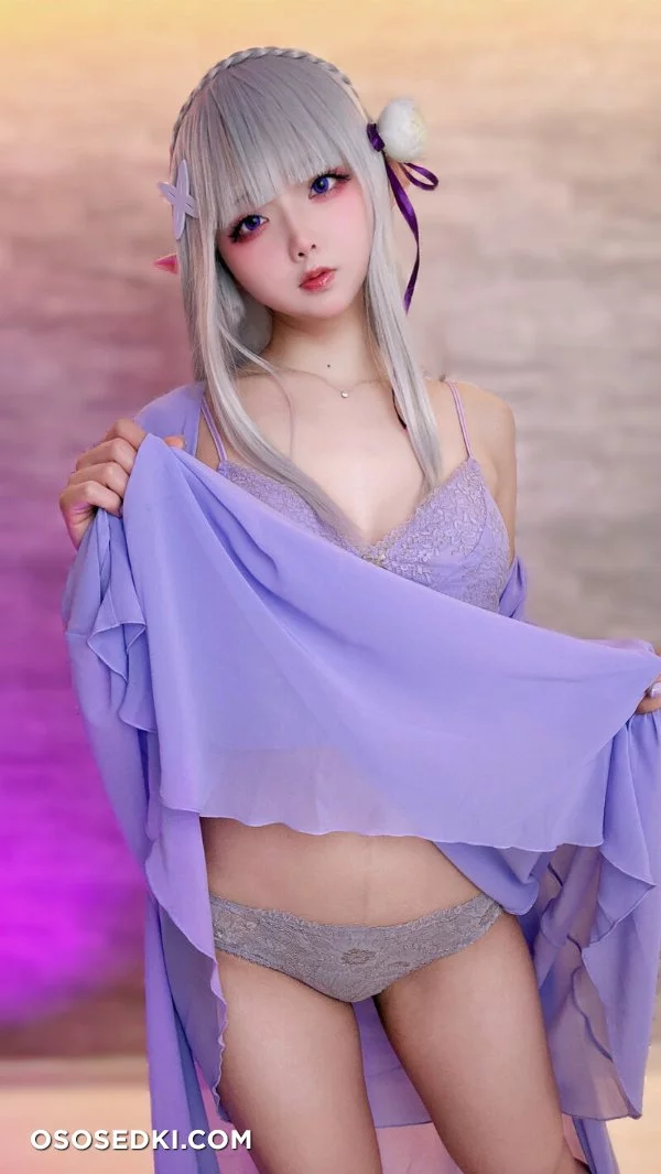 Chuchu Nagomitei - Emilia - Re Zero Kara Hajimeru Isekai Seikatsu - Photo 66