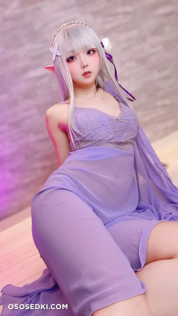 Chuchu Nagomitei - Emilia - Re Zero Kara Hajimeru Isekai Seikatsu - Photo 73