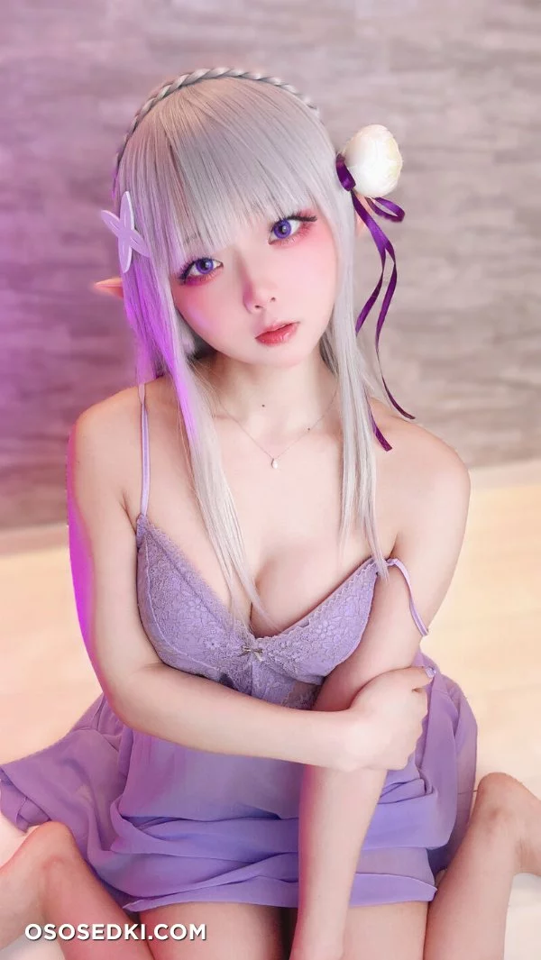 Chuchu Nagomitei - Emilia - Re Zero Kara Hajimeru Isekai Seikatsu - Photo 79