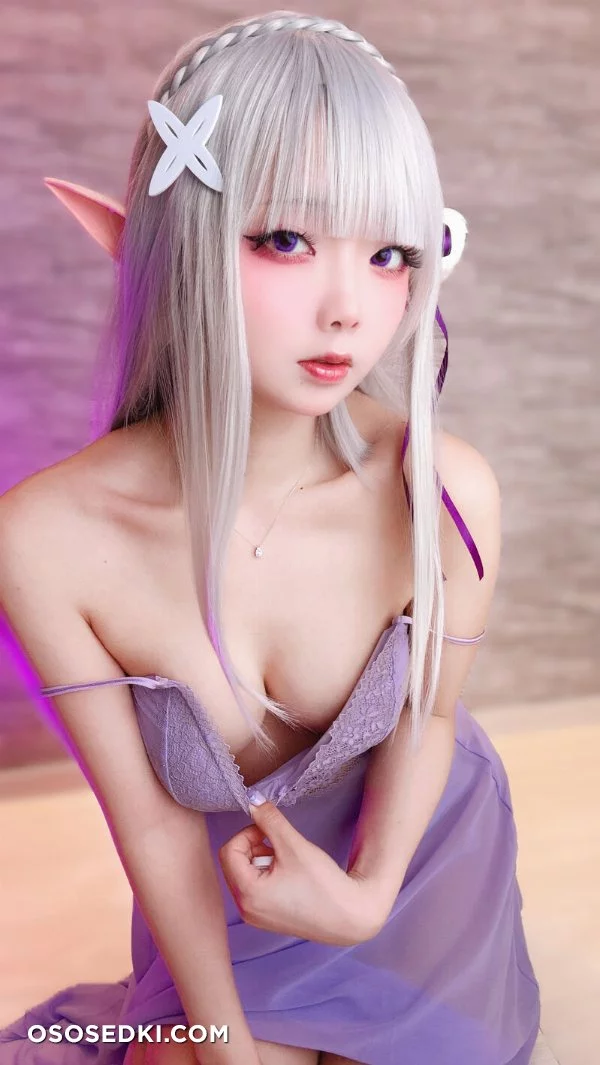 Chuchu Nagomitei - Emilia - Re Zero Kara Hajimeru Isekai Seikatsu - Photo 84
