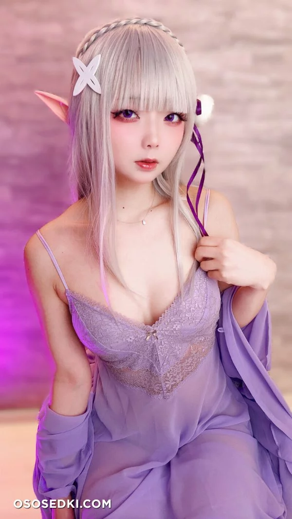 Chuchu Nagomitei - Emilia - Re Zero Kara Hajimeru Isekai Seikatsu - Photo 87