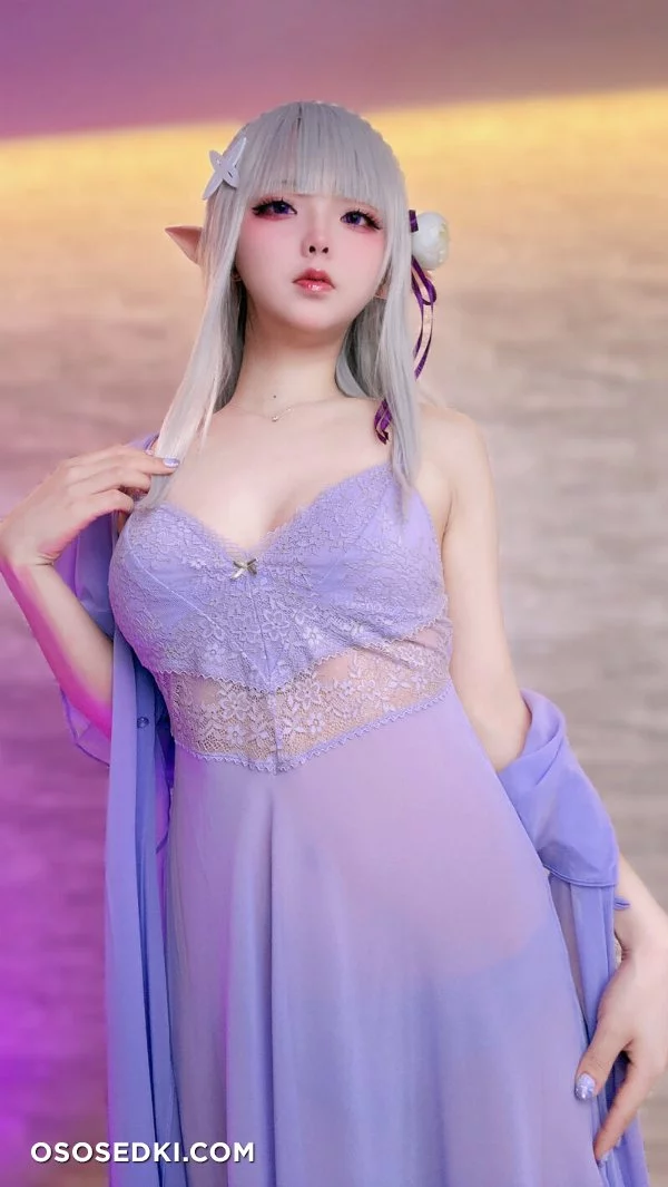Chuchu Nagomitei - Emilia - Re Zero Kara Hajimeru Isekai Seikatsu - Photo 88