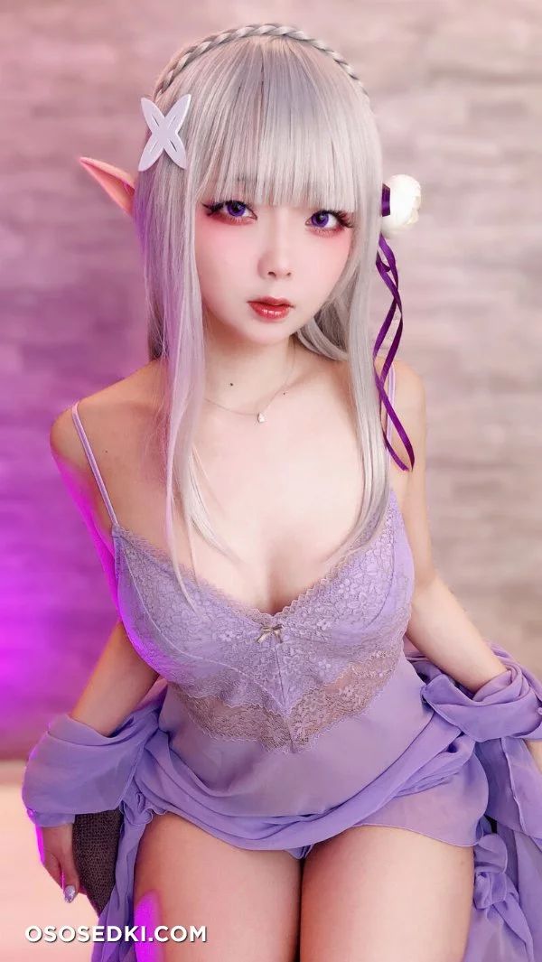 Chuchu Nagomitei - Emilia - Re Zero Kara Hajimeru Isekai Seikatsu - Photo 91