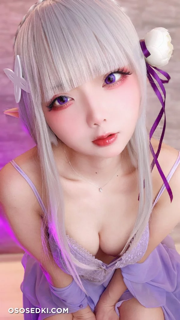 Chuchu Nagomitei - Emilia - Re Zero Kara Hajimeru Isekai Seikatsu - Photo 94