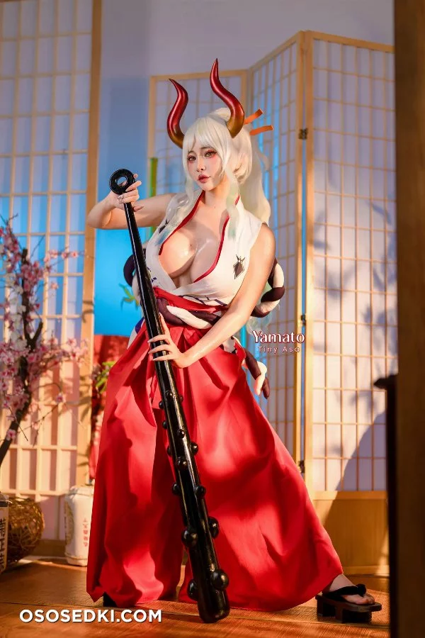 Tiny Asa - Yamato - One Piece - Photo 33