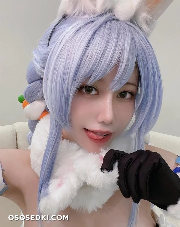 Ain Nguyen - Usada Pekora - Hololive - Photo 3