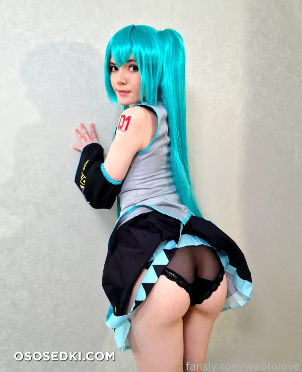 Webtolove - Miku Hatsune - Vocaloid - Photo 6