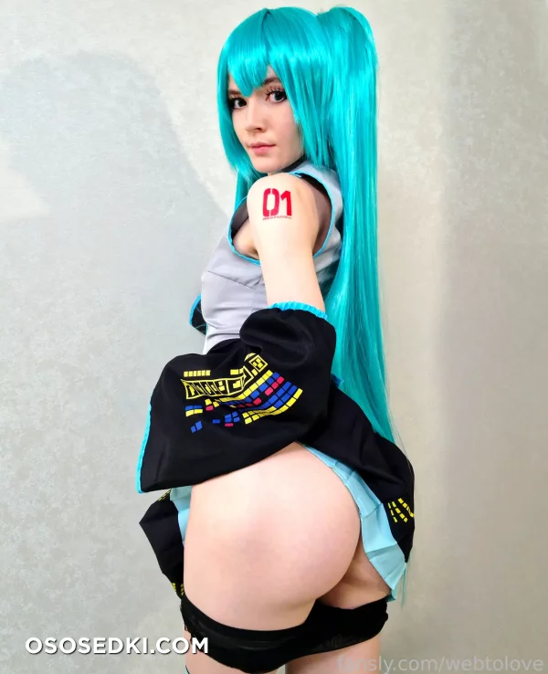 Webtolove - Miku Hatsune - Vocaloid - Photo 7