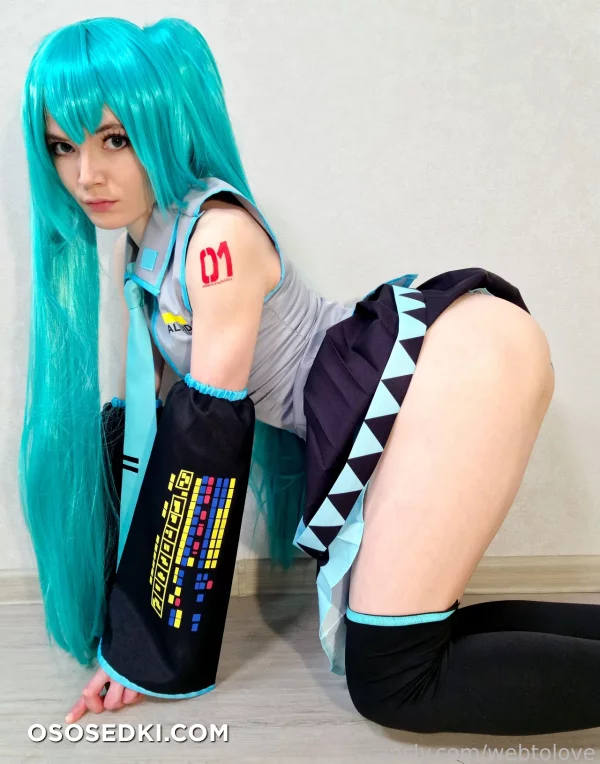 Webtolove - Miku Hatsune - Vocaloid - Photo 8