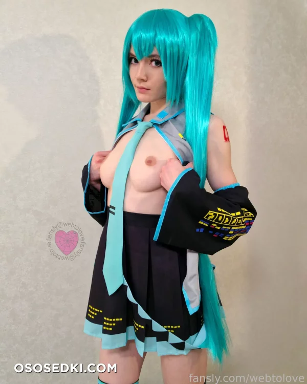 Webtolove - Miku Hatsune - Vocaloid - Photo 12