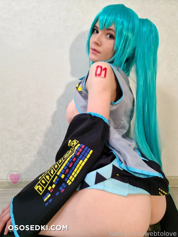 Webtolove - Miku Hatsune - Vocaloid - Photo 19