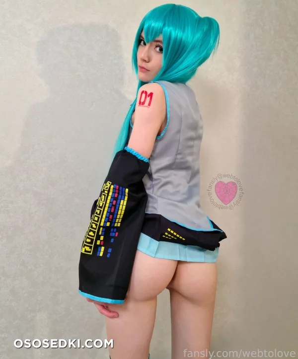 Webtolove - Miku Hatsune - Vocaloid - Photo 21