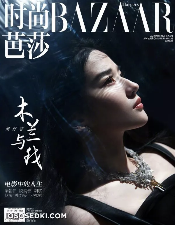 Liu Yifei - Photo 30