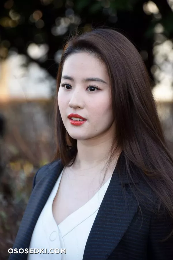Liu Yifei - Photo 45
