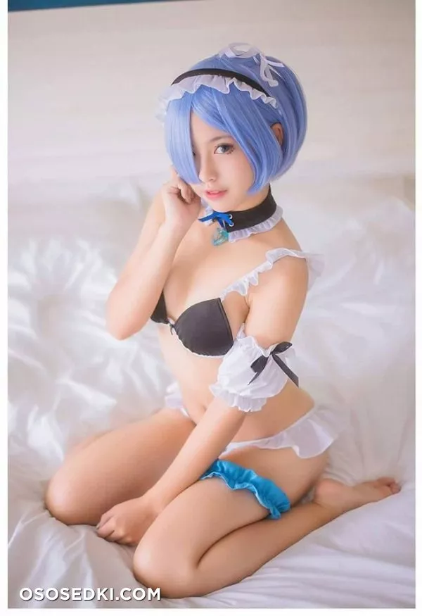 【Re:Zero】 Rem | Ram - Photo 8