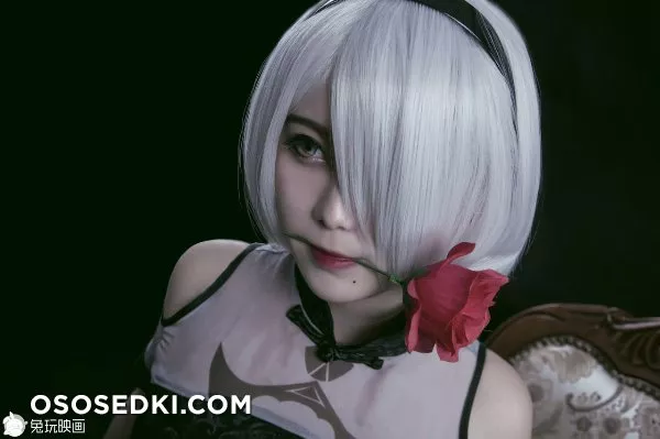 【NieR:Automata】2B - Photo 29