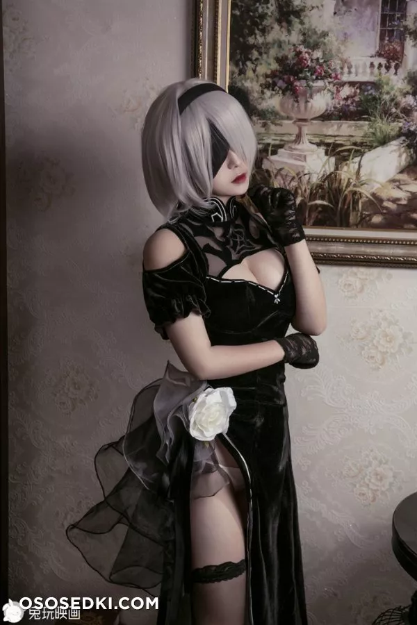 【NieR:Automata】2B - Photo 45