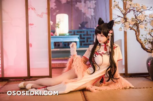 【Azur Lane】 Atago - Photo 12