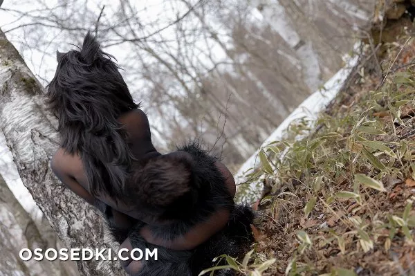 Timber wolf - Photo 8