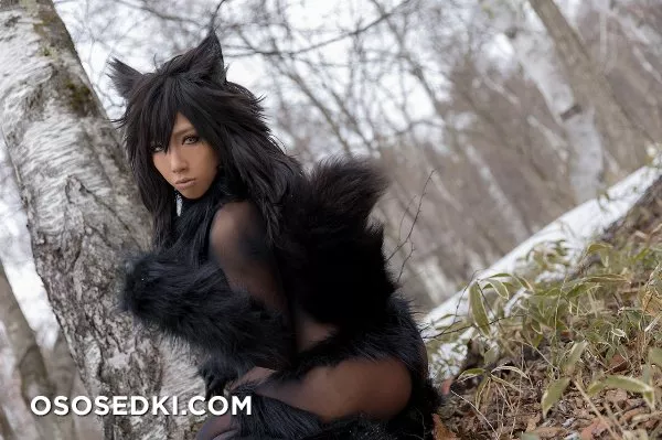 Timber wolf - Photo 10